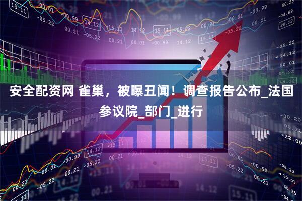 安全配资网 雀巢，被曝丑闻！调查报告公布_法国参议院_部门_进行