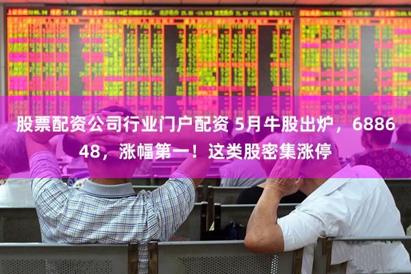 股票配资公司行业门户配资 5月牛股出炉，688648，涨幅第一！这类股密集涨停