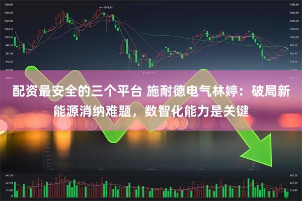 配资最安全的三个平台 施耐德电气林婷：破局新能源消纳难题，数智化能力是关键