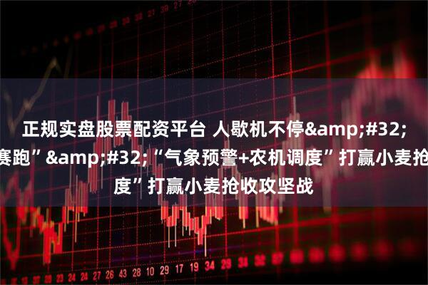 正规实盘股票配资平台 人歇机不停 和天气“赛跑” “气象预警+农机调度”打赢小麦抢收攻坚战